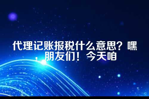 代理记账报税什么意思啊