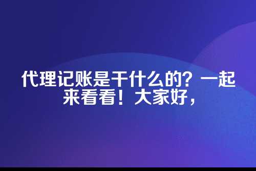 财务代理记账是干什么的