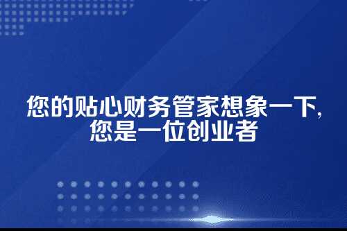 代理记账公司记账用啥