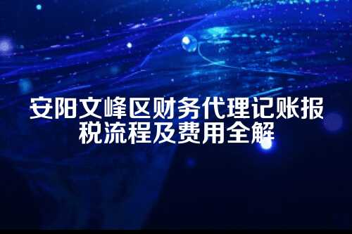 安阳文峰区财务代理记账报税流程及费用多少钱(2025年新政策)