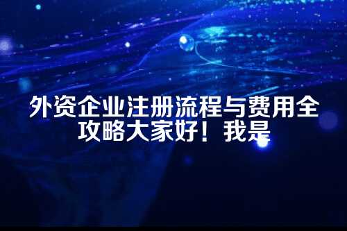 河南省外资企业注册程序流程及费用外交不让注册公司(图片