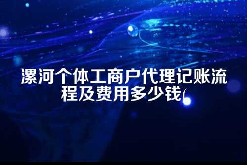 漯河个体工商户代理记账流程及费用多少钱(2025年新政策)