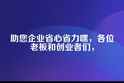 基础套餐，适合刚起步的小微企业