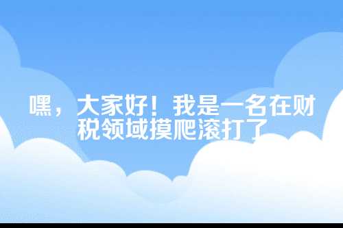 郑州跨境电商公司注册，会计师的实用指南