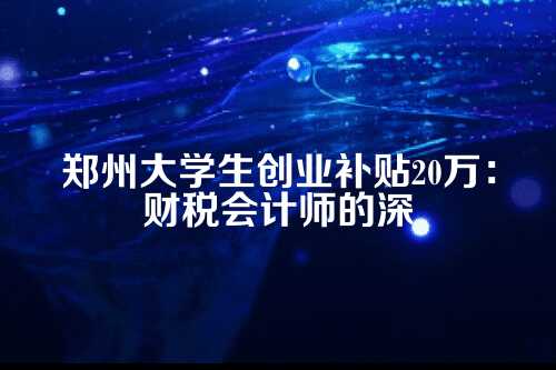 一、补贴政策概述，20万怎么来的？